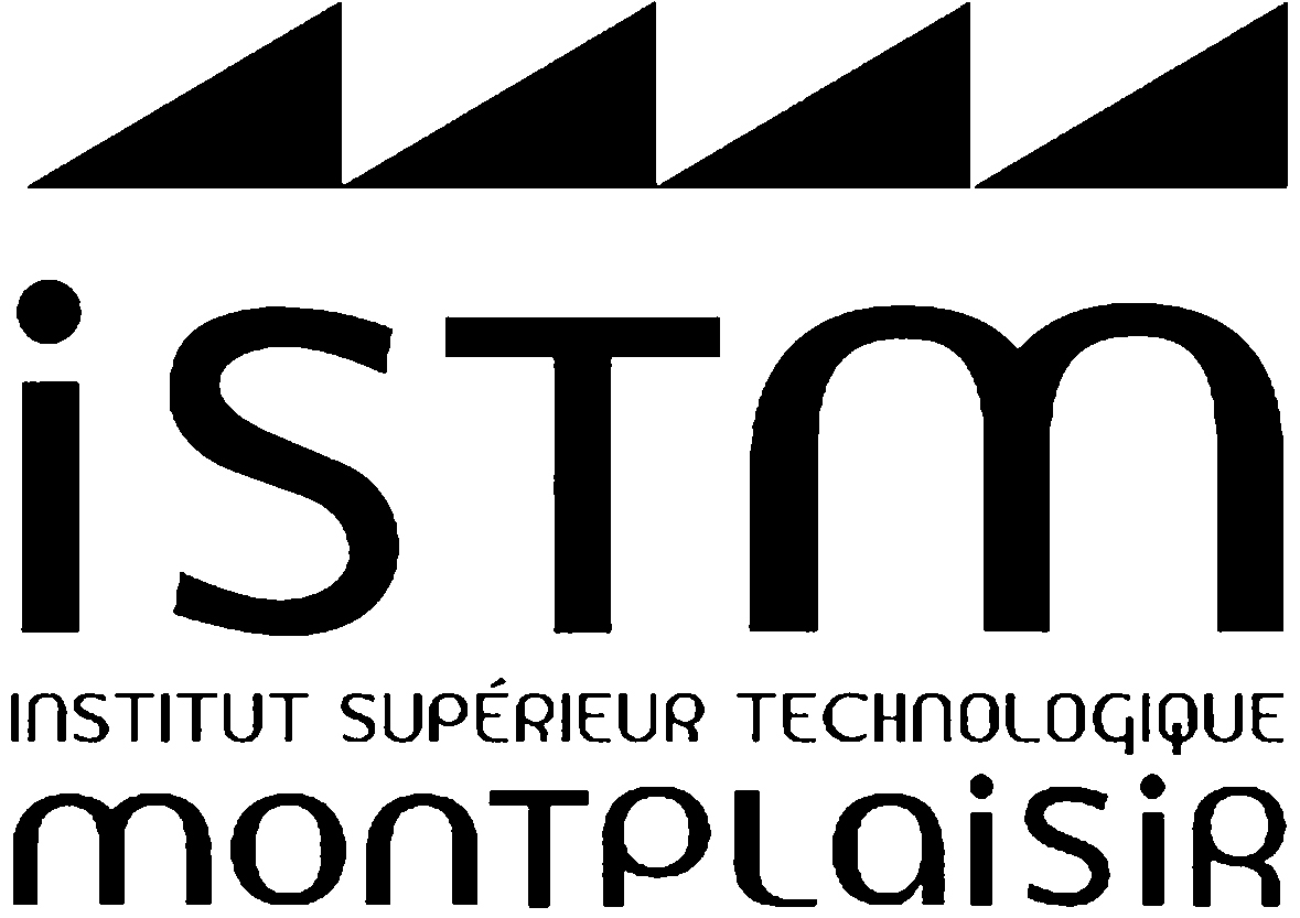 Logo ISTM